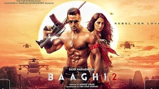 Baaghi 2 2024 Bollywood New Movie in Hindi  Explained [upl. by Risser]