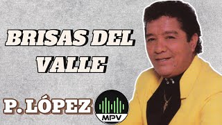 BRISAS DEL VALLE  Pastor López mpv [upl. by Daisy258]