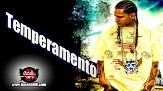 Temperamento  Recopilacion HD [upl. by Trovillion]