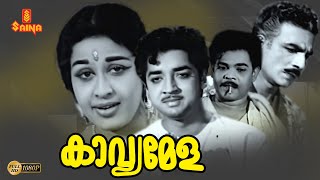 Kavyamela  Malayalam Full Movie 1080p  Prem Nazir  Sheela  Adoor Bhasi  G K Pillai [upl. by Adirem]