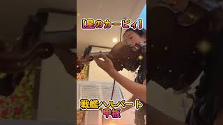 【星のカービィ】メタナイトの逆襲より 戦艦ハルバート甲板／ヴァイオリン violin [upl. by Euqinoj]