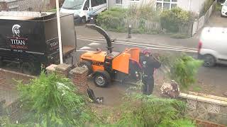 20240910 Luton Front Garden Fir Trees Removal [upl. by Marzi]