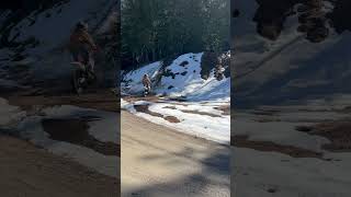 Snowy Hill Climb on 2023 ktm 125 xc 2023 ktm 125 xc dirtbike fullsend hillclimb [upl. by Lederer526]