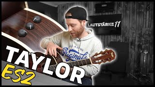 Taylor ES2  Der Tonabnehmer in der Taylor 712e  english subtitles [upl. by Saerdna]