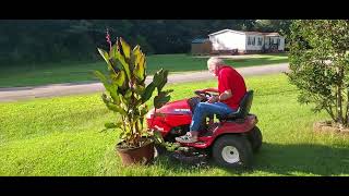 Pawpaws Front Yard Lawnmowing Tutorial 25thMost Popular Upload Holy cow [upl. by Stirling917]