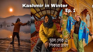 Kashmir in Winter  কলকাতা থেকে কাশ্মীর  Kashmiri Wazwan  Dal Lake Houseboat  Kashmir in January [upl. by Nilde]