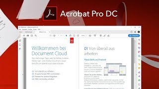 Das Große Adobe Acrobat Pro DC Tutorial Alles für deine PDFBearbeitung [upl. by Leeke595]