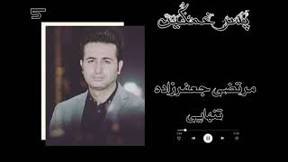 آهنگ مرتضی جعفرزاده تنهایی mortaza jafarzada tanhaie [upl. by Aselehc761]