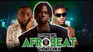 2023 BEST OF THE BEST NAIJA AFROBEAT VIDEO MIX BY DJ SPARK FT DAVIDOASAKEOLAMIDEWIZKIDSHALLIPOPI [upl. by Magdala472]