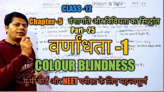 वर्णांधता COLOUR BLINDNESS  varnandhata ki vanshagati biology chapter 5 class 12 [upl. by Aggy]