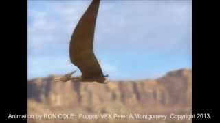 Pterodactyl Stop Motion Compilation Reel New York [upl. by Ahsekyw]