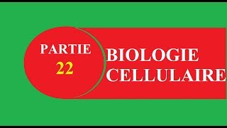 Cours biologie cellulaire partie 22 fin chloroplaste  البيولوجي بالدارجة [upl. by Nileuqay]