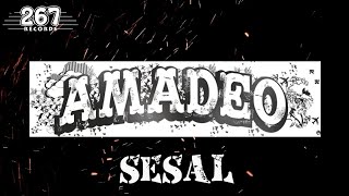 Amadeo  Sesal Official Lyric Video [upl. by Oicaro]