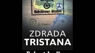 Zdrada Tristana  Robert Ludlum  22 Audiobook PL [upl. by Rolyab580]