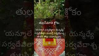 Tulasi maata slokambakthi hinduprayer ytshort subscribe [upl. by Irok200]