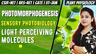 Photomorphogenesis  Photomorphogenesis in Plants CSIR NET  Sensory Photobiology CSIR NET [upl. by Suelo]