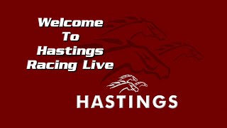 Hastings Racecourse Official Live Stream August 10th 2024 [upl. by Namrej598]