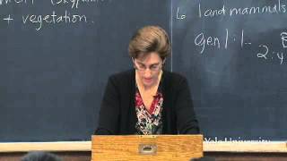 Lecture 3 The Hebrew Bible in Its Ancient Near Eastern Setting Genesis 14 in Context [upl. by Pond]