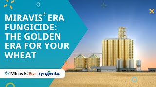 Miravis® Era fungicide The golden era for your wheat [upl. by Amersham555]