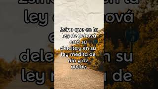 SALMO 1  LOS JUSTOS SON BUENAVENTURADOS  LOS MALOS PARECERÁN dios labiblia vida youtube short [upl. by Naniac427]