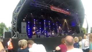 The Troggs  Live Concert At The Kings 2014 [upl. by Hannahsohs]