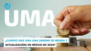 ¿Cuánto vale una UMA Unidad de Medida y Actualización en México en 2024 [upl. by Isiah232]