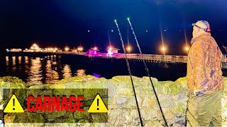 Sea Fishing in North Wales UK CARNAGE ⚠️⚠️⚠️ [upl. by Atihana469]