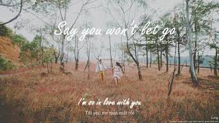 Lyrics  Vietsub  Say you wont let go  Cover byTanner Patrick [upl. by Llehsal]