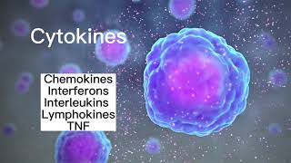 Cytokines [upl. by Ahsinel]