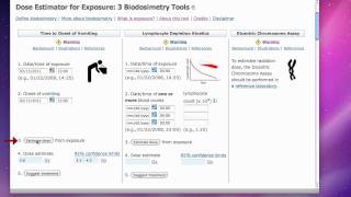 REMM  Dose Estimator [upl. by Kallista744]