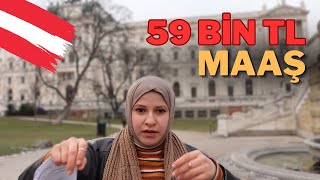 VİYANA VLOG Avusturyada yaşam Viyana Opera binası [upl. by Anait143]