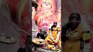 🙏Masani amman kovil kumbabishekam shortvideo [upl. by Ennywg953]