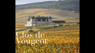 Clos de Vougeot  Video Essay [upl. by Ahsam]