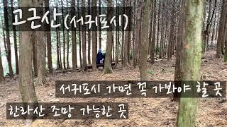 제주도 고근산오름에서 꼭 힐링하세요 그리고 시골길 걷기 각시바위오름까지 [upl. by Seppala861]