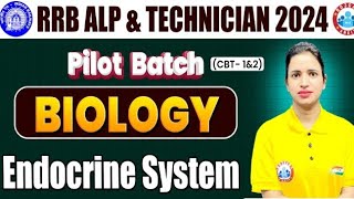 Endocrine SystemClass 4RRB ALPTECHGROUP DJEUP POLICESSC GDNTPC [upl. by Barber282]