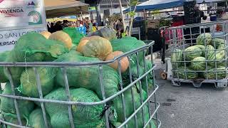 Mercado Familiar en San Lorenzo Puerto Rico [upl. by Kerin133]