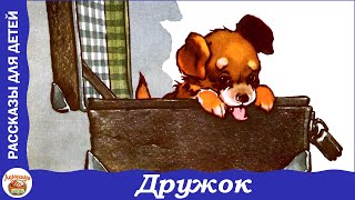 Дружок Рассказ Николая Носова [upl. by Klapp]