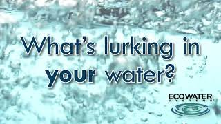 Get A Free Water Test With Ecowater Systems of MidMissouri [upl. by Joye704]