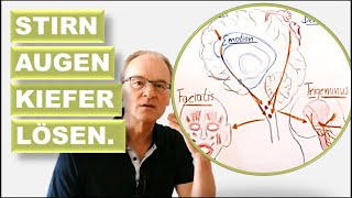 Stirn Augen Kiefer lösen 3 min Gehirnforschung und 5 min Praxis für entspanntere Gesichtszüge [upl. by Nacnud95]