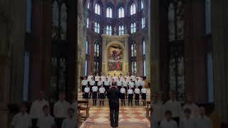 Les Pastoureaux les Petits Chanteurs de Waterloo BEL [upl. by Aleibarg]