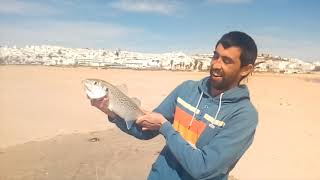 Surfcasting Playa de Conil pescando Bailas [upl. by Doowle]