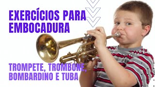 Exercício de embocadura  aula 2  Trompete Trombone Bombardino Tuba [upl. by Nas577]