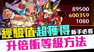 【新手必看】Monster Strike 怪物彈珠 經驗值超獲得！速刷等級經驗方法？限時活動提升等級攻略！訓練冒險二手通關「期間限定冒險」 [upl. by Buller]