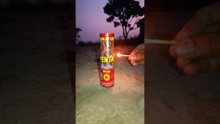 🥳 DIFFERENT TYPES Of DIWALI CRACKERS TESTING  Sky Shot ➕ Diwali Rocket ➕ Murga Chhap ➕ Bijli Bomb [upl. by Eseenaj552]