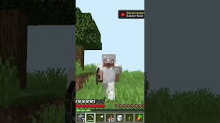 noob vs pro in minecraft [upl. by Carita]