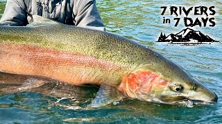 Fishing 7 Rivers In 7 Days  STEELHEAD EDITION  7 Day Challenge Official Movie Season 2 [upl. by Violeta]