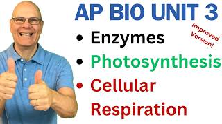 Crush AP Bio Unit 3 Enzymes Photosynthesis and Respiration [upl. by Genesia]