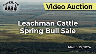 Leachman Cattle Spring Bull Sale [upl. by Kristyn]