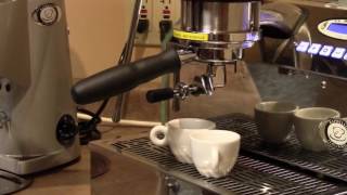 Fiorenzato F4 Espresso Grinder Review HD [upl. by Annasus]