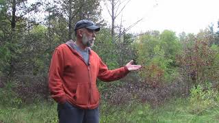 What is Crown Land Trespass [upl. by Mosier]